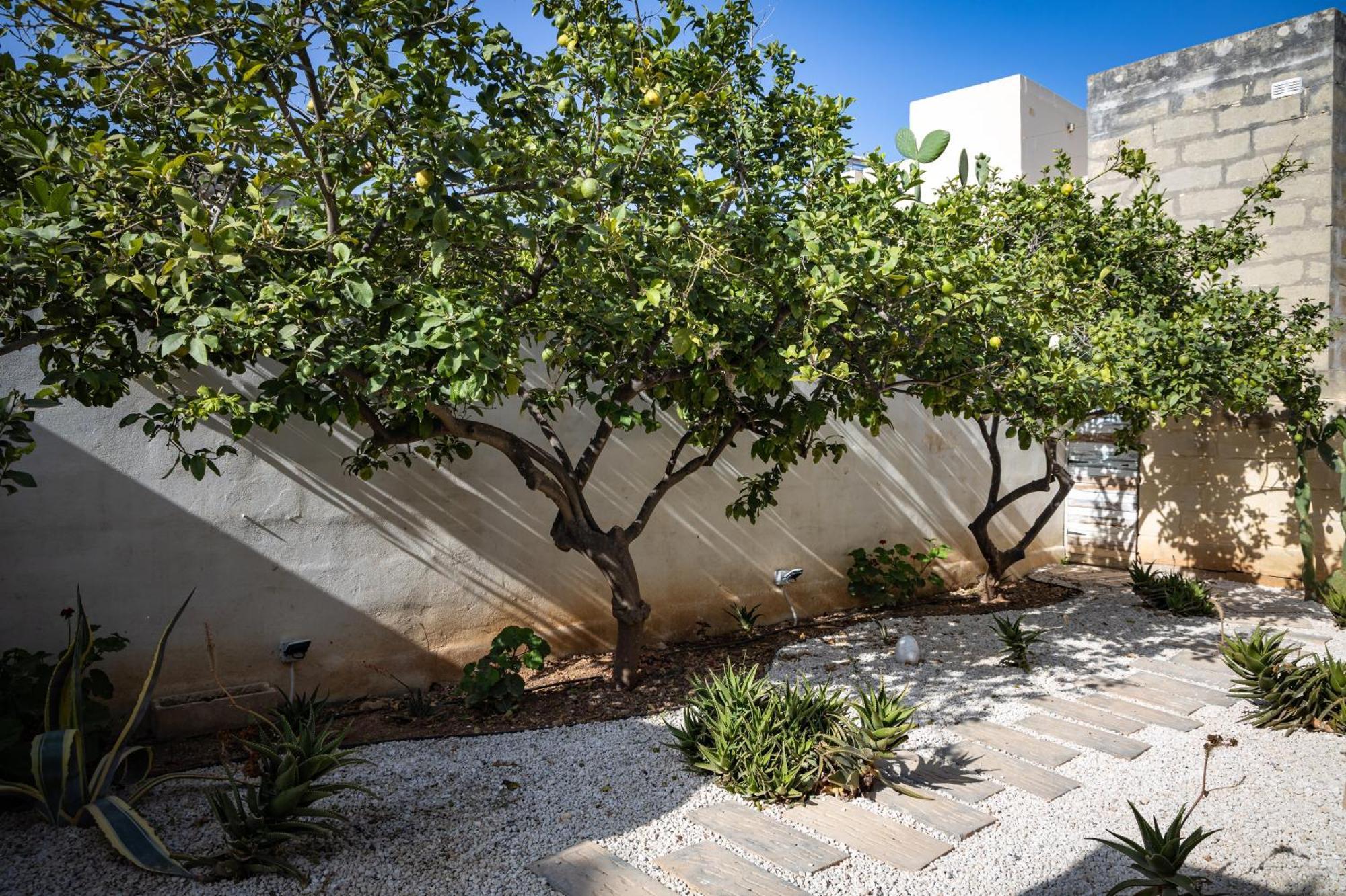 Lemon Tree Relais By Cx Collection Hotel Żabbar Buitenkant foto